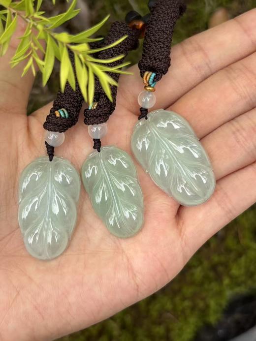 【专栏福利】冰种晴水翡翠金枝玉叶 叶子含证书 随机发货 商品图5