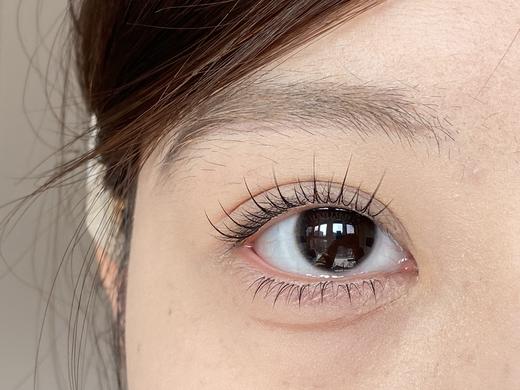 sincecon半年抛美瞳 透光芝麻 14.0mm 商品图0