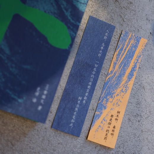 树（电影《完美的日子》点睛之书，一部关于生命的旅行札记）（日）幸田文 著 商品图4