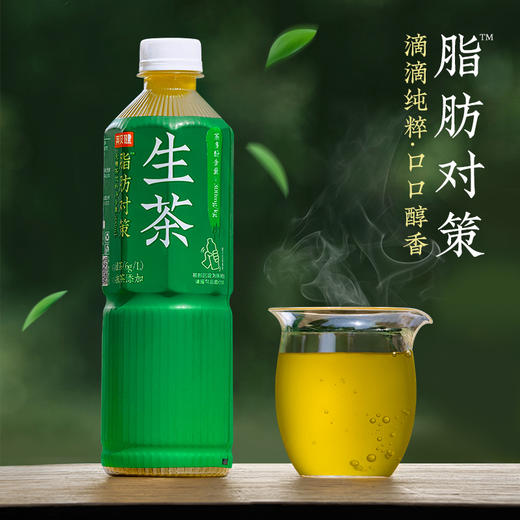 英贝健生茶无糖茶饮料零糖6瓶 商品图4