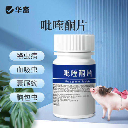华畜 0.2g高含量吡喹酮片50片/瓶 肝脑清 驱虫促长 防治脑包虫 动物血吸虫病 用于治多种虫类 商品图0