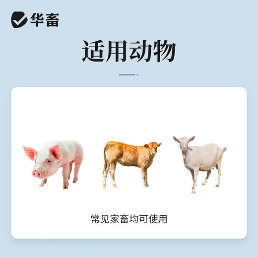 华畜 维生素B12注射液10支装 用于幼畜缺乏维生素B12所致的贫血 生长迟缓 马牛羊猪用 商品图2