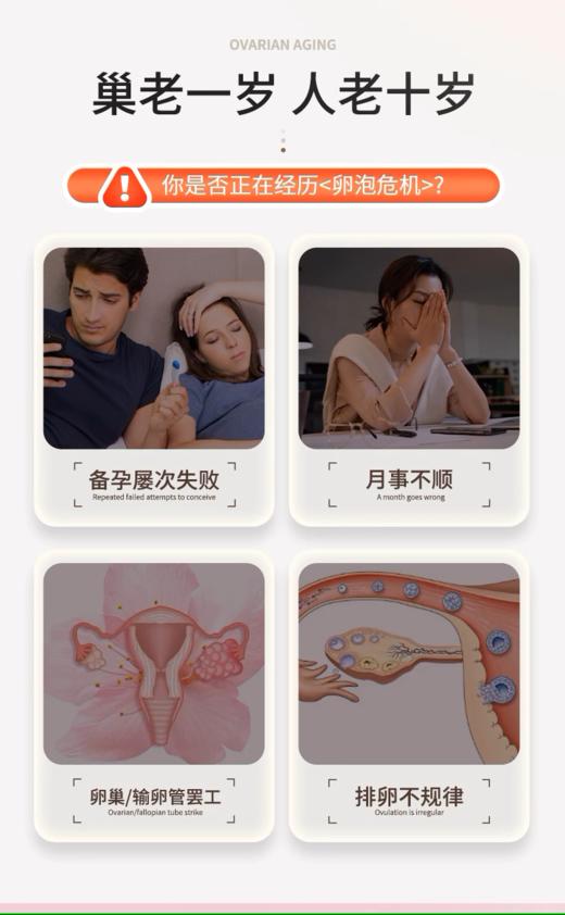 红妥孕复合维生素必需氨基酸微量元素辅酶活性叶酸抗氧化 商品图2