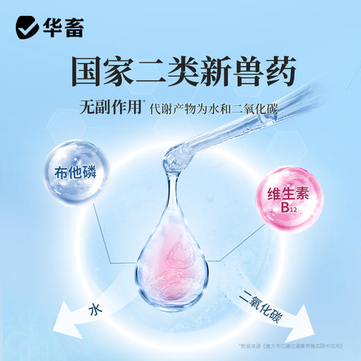 【积分兑换】华畜复方布他磷注射液100ml 动物能量补充剂 维生素B12  解僵 商品图1