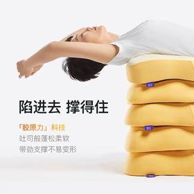 【森哥优选】绘睡 吐司枕头枕芯护颈椎助眠专用记忆棉不塌陷