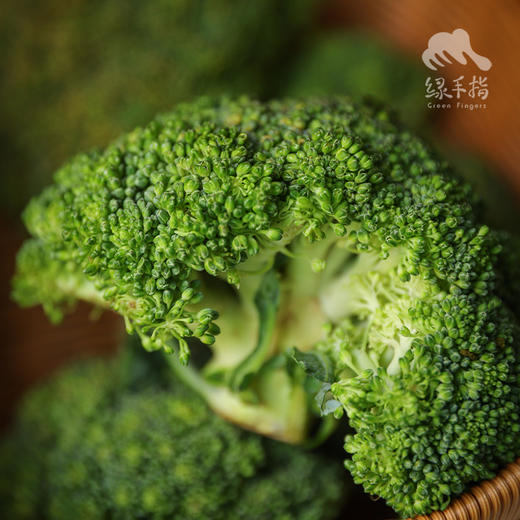生态花椰菜（白菜花/西兰花）| 合作生产*Ecological Broccoli | Partner Production 商品图4
