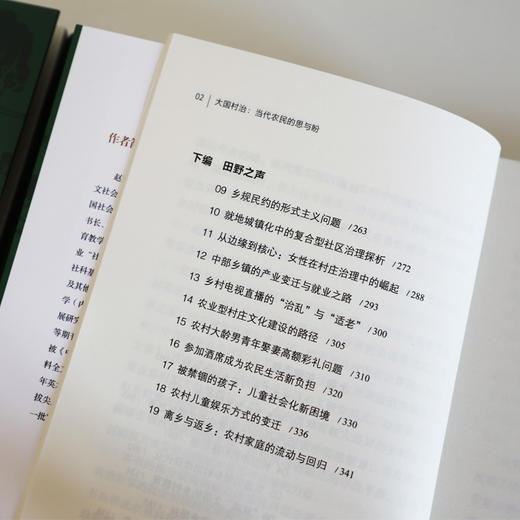 大国村治：当代农民的思与盼 商品图6