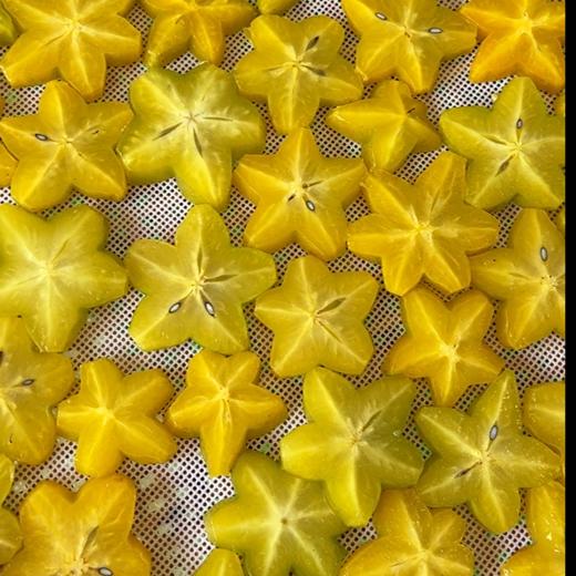 生态杨桃干 | 云南干热河谷生长 商品图5