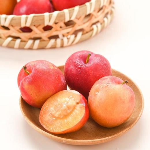 玫瑰红李500g 商品图3