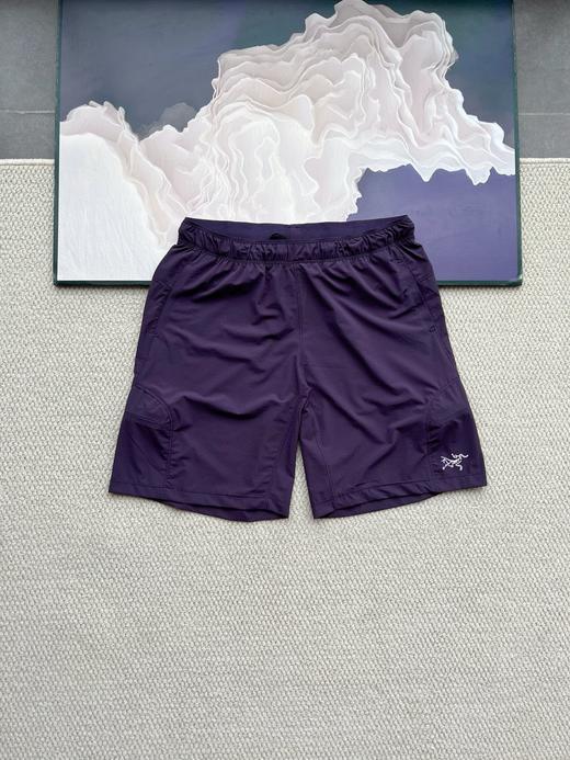 点此购买 始祖鸟VEILANCE ARGAND SHORT男女款透气休闲短裤 jj 322731 商品图2