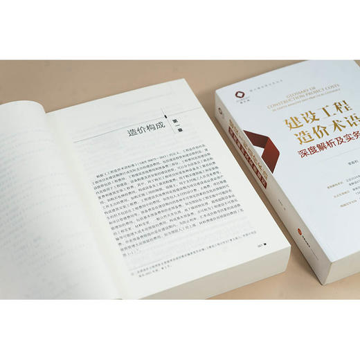 建设工程造价术语深度解析及实务指引 单春利著 法律出版社 商品图4