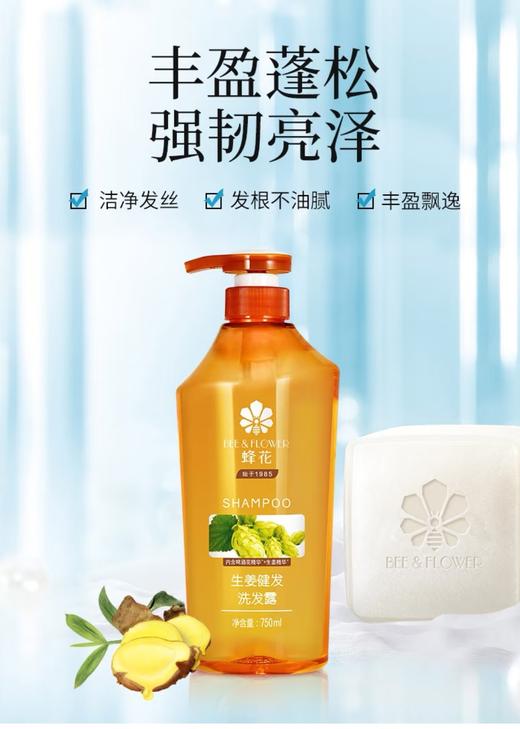 蜂花生姜健发洗发露 商品图3
