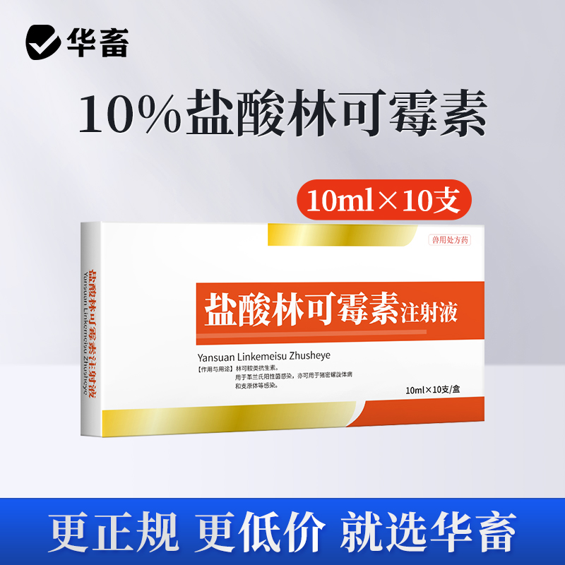 华畜兽用 10%盐酸林可霉素主射液10支