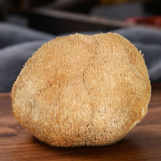 阿比该猴头菇120g 商品图2