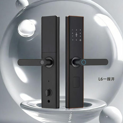半自动L6智能指纹锁（不含锁体） 商品图2