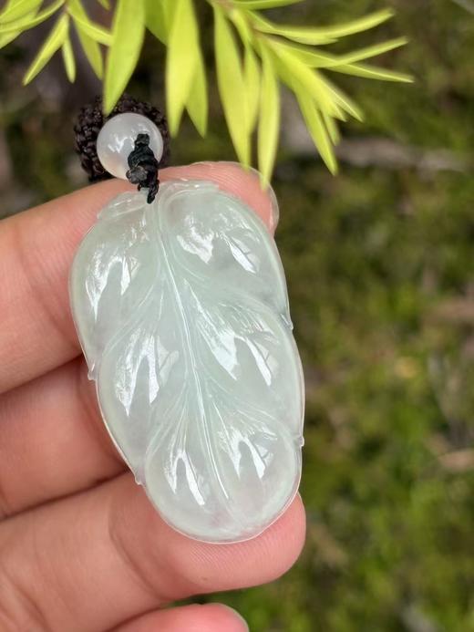 【专栏福利】冰种晴水翡翠金枝玉叶 叶子含证书 随机发货 商品图9