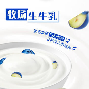 蒙牛纯甄蓝莓果粒风味酸奶200g*10盒 送礼盒装 商品图4