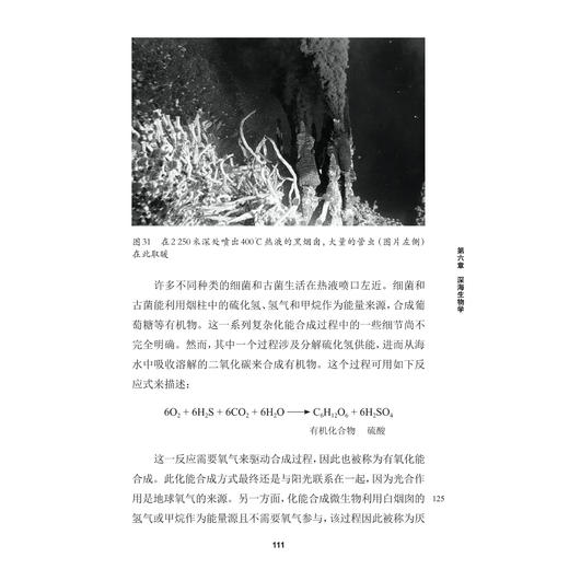 《牛津通识读本：海洋生物学》 商品图7
