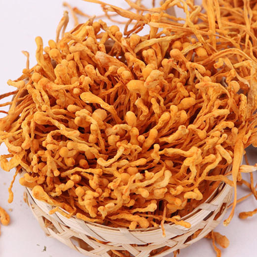 阿比该蛹虫草145g 商品图3