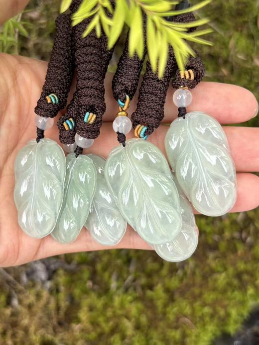 【专栏福利】冰种晴水翡翠金枝玉叶 叶子含证书 随机发货 商品图4