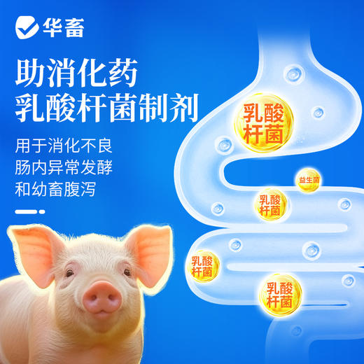 华畜兽用乳酶生片猪羊家畜幼畜腹泻胀气助消化促反刍益生菌乳酸菌 商品图3