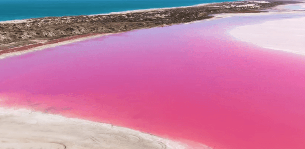 西澳大利亚“粉红湖”、尖峰石阵“双子座流星雨”星空拍摄、波浪岩、海岸风光、珀斯12天摄影团