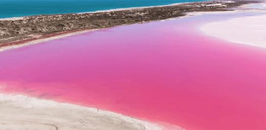 西澳大利亚“粉红湖”、尖峰石阵“双子座流星雨”星空拍摄、波浪岩、海岸风光、珀斯12天摄影团 商品图0