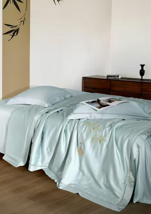 CP竹纤维金蚕丝抗菌夏凉被25218 商品图3