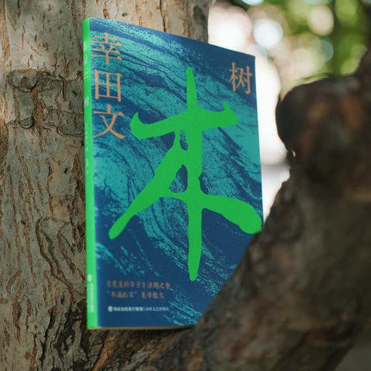 树（电影《完美的日子》点睛之书，一部关于生命的旅行札记）（日）幸田文 著 商品图3