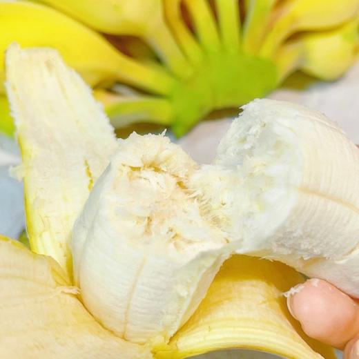 萌宠小胖蕉2kg装 商品图1