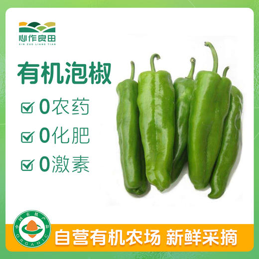 有机泡椒500g 商品图0