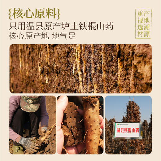 璞匠铁棍山药四神粉莲子芡实茯苓粉冲饮即食早餐糊营养代餐粉食品 商品图1