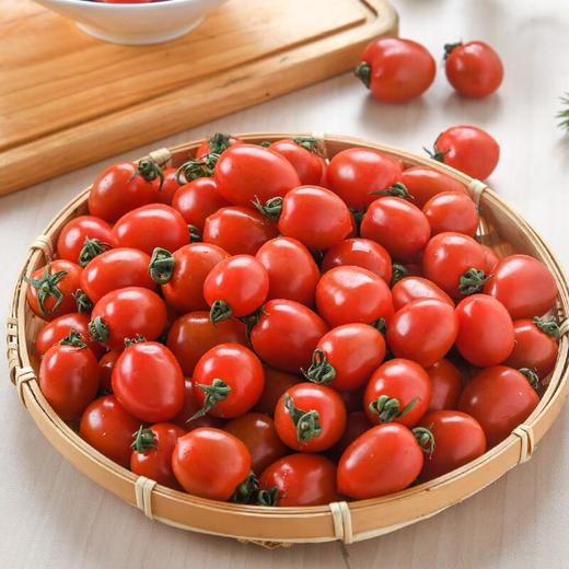 小番茄1kg 商品图2