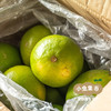 生态无籽青柠檬 3斤 | 合作农友生产，产自福建漳州，生产者：戴胜利 *【公平贸易农人定价】 商品缩略图10