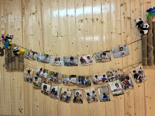 1人成团【都江堰-熊猫有约一日研学】走进大熊猫别墅，“熊猫青团”非遗造纸术，化身熊猫营养师，制作熊猫窝窝头，含大熊猫荣誉证书 商品图2