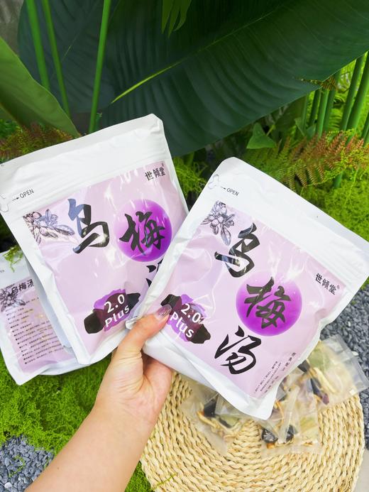 【杭州中Y院乌梅汤2.0plus同版本】世倾堂出品，库存有限，速冲~乌梅+麦芽+陈皮+荷叶+佛手+玫瑰+麦冬专研“消食护胃"强化降脂力度 商品图1