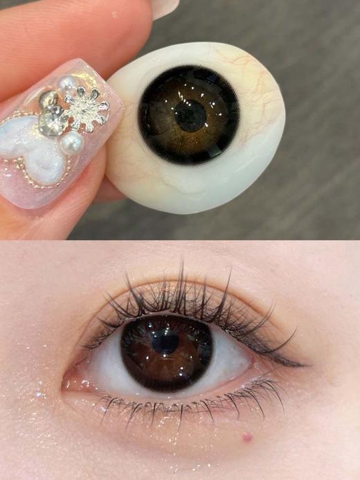 papadox 日抛 限定黑松露 直径14.5mm着色13.8mm 商品图3