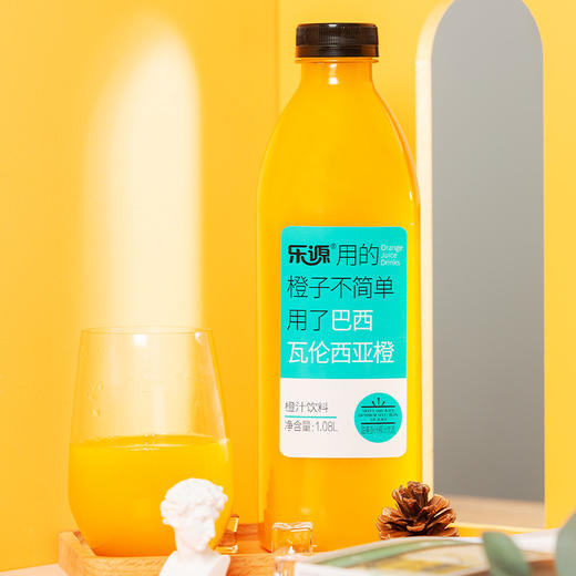 乐源 混合果汁礼盒1.08L*4瓶（橙汁芒果汁猕猴桃汁树莓蓝莓汁各1瓶） 商品图2