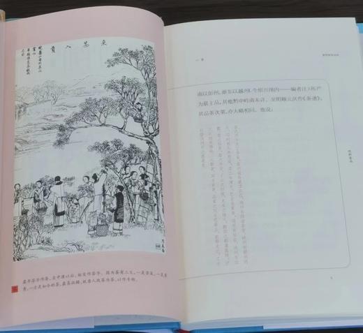 《事物掌故丛谈》（校订本）小精装一函10册，杨荫深编著，上海辞书出版社2020年一版一印 商品图9