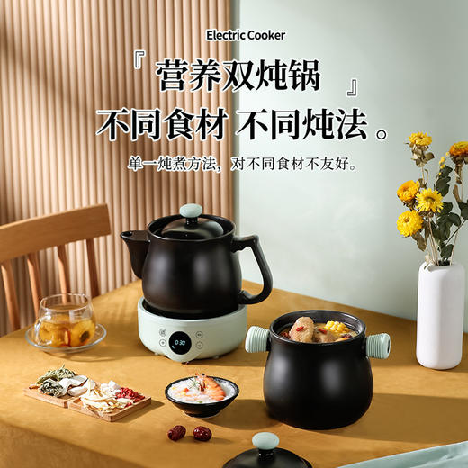 【煎药壶全自动中药壶】家用电中熬药罐分体 陶瓷养生煎中医砂锅电炖煲  商品图1