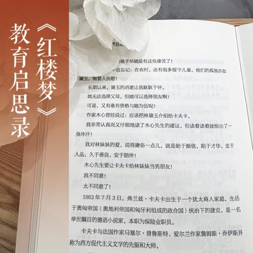 《红楼梦》教育启思录 | 跟着语文名师 用经典破解教育迷雾 商品图5