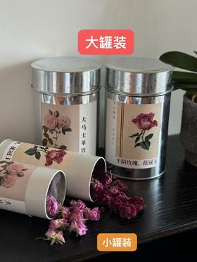 2025玫瑰季，大马士革玫瑰/平阴玫瑰花！