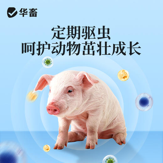 华畜 0.2g高含量吡喹酮片50片/瓶 肝脑清 驱虫促长 防治脑包虫 动物血吸虫病 用于治多种虫类 商品图3