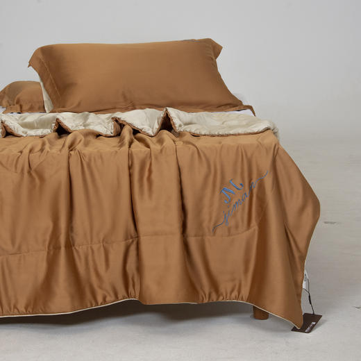 冰淇淋速凉被竹纤维凉感刺绣夏被双拼色裸感夏凉被 商品图11