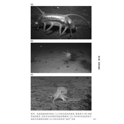 《牛津通识读本：海洋生物学》 商品图5