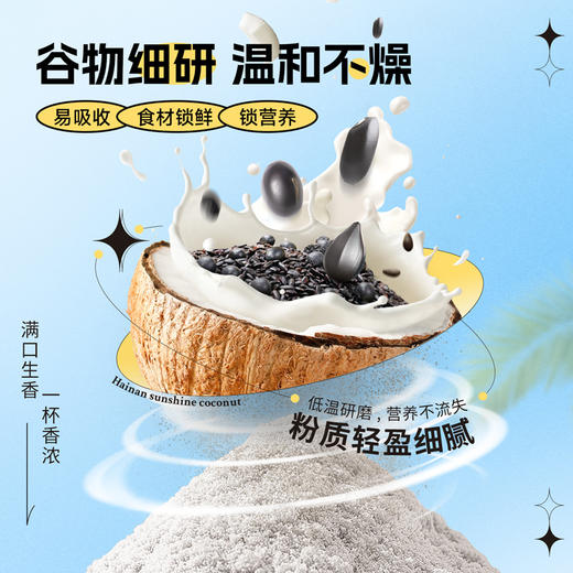 南国黑养椰子粉独立包装冲泡方便速食营养早餐椰浆粉五黑粉代餐粉  养黑椰子粉 300g 商品图4