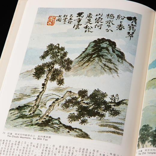 【绝版好书】《野逸画派》(石涛 八大 石豀 弘仁 龚贤 梅清)，大16开精装168页，1985年台湾艺术图书出版 商品图5