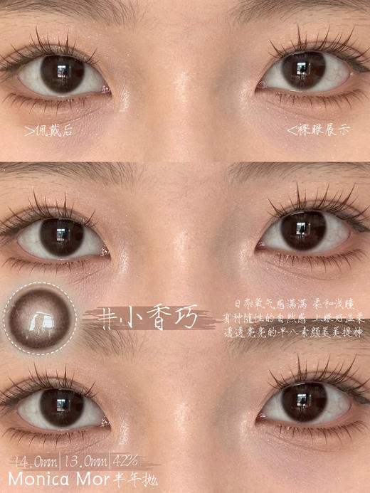 Monica Mor半年抛美瞳 小香巧 14.0mm 商品图0