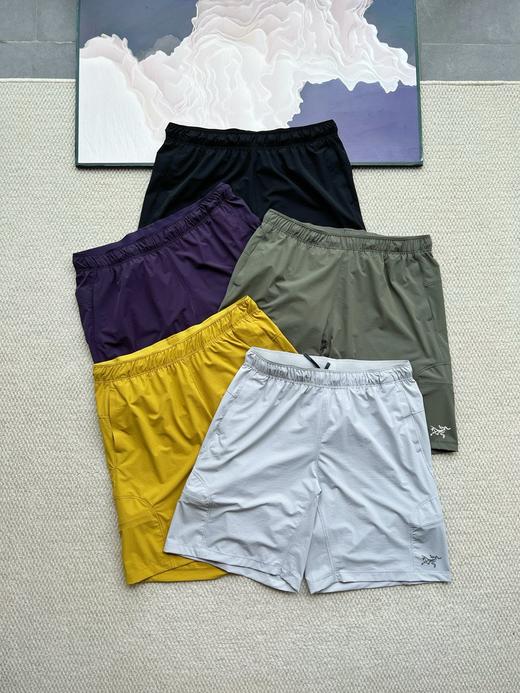 点此购买 始祖鸟VEILANCE ARGAND SHORT男女款透气休闲短裤 jj 322731 商品图0