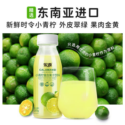 乐源小青柠复合汁饮料280g*8瓶 青桔柠檬汁复合果汁0脂小瓶整箱 商品图5